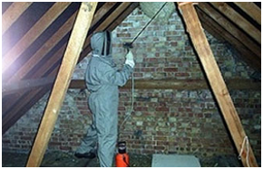 a wasp nest being removed from a converted loft